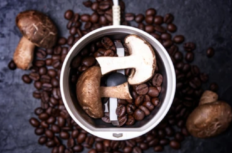 How to brew mushroom coffee at home